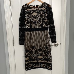 Beautiful Tan & Black Midi Lace Dress